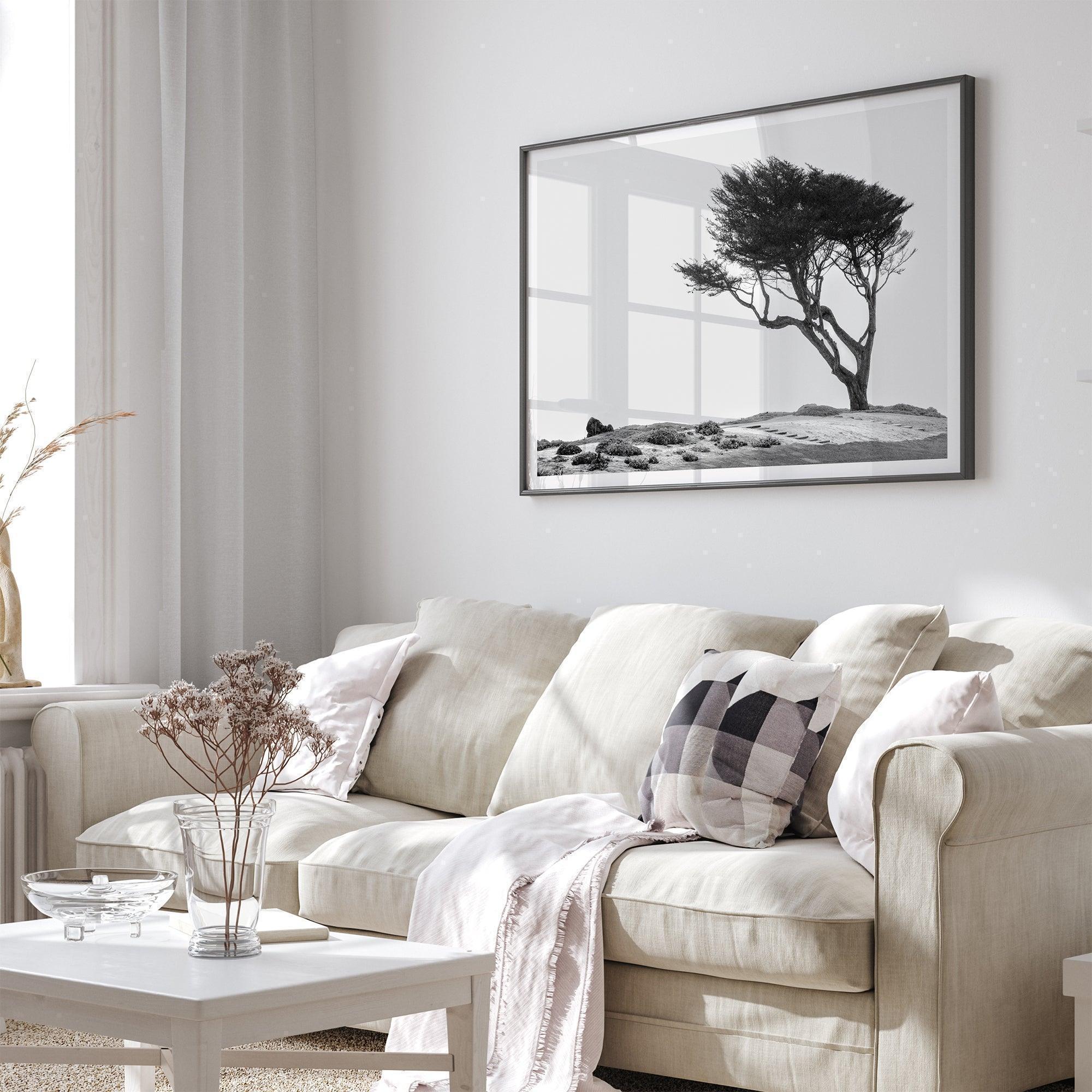 Black-and-white photograph of a windswept cypress tree on a rugged coastal bluff with a minimalist design.