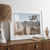 Boho Desert Wall Art featuring a serene Joshua Tree landscape with rugged boulders, golden grasses, and a clear sky, perfect for modern rustic decor.