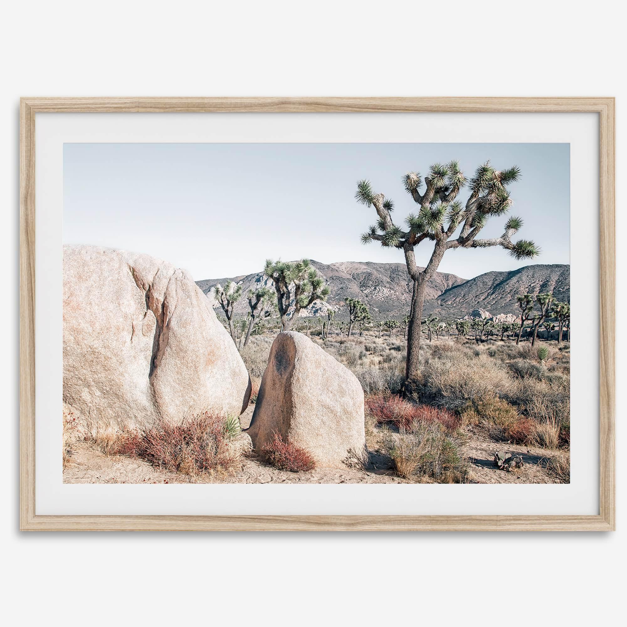 Boho Desert Wall Art featuring a serene Joshua Tree landscape with rugged boulders, golden grasses, and a clear sky, perfect for modern rustic decor.