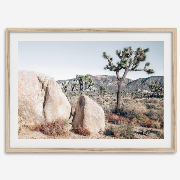 Boho Desert Wall Art featuring a serene Joshua Tree landscape with rugged boulders, golden grasses, and a clear sky, perfect for modern rustic decor.