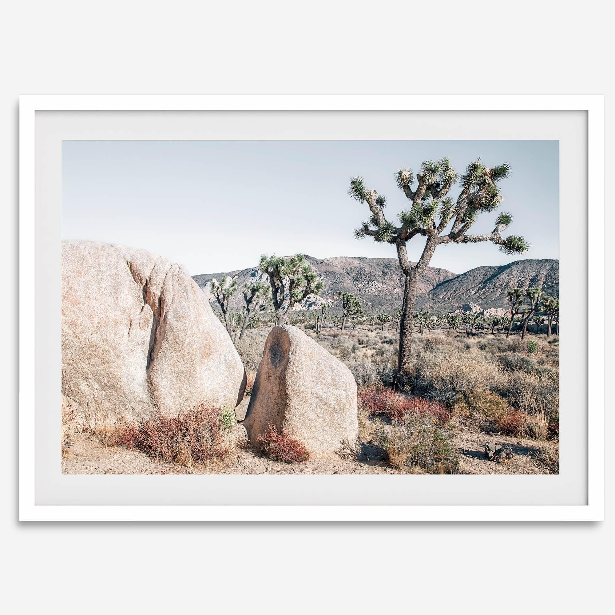 Boho Desert Wall Art featuring a serene Joshua Tree landscape with rugged boulders, golden grasses, and a clear sky, perfect for modern rustic decor.