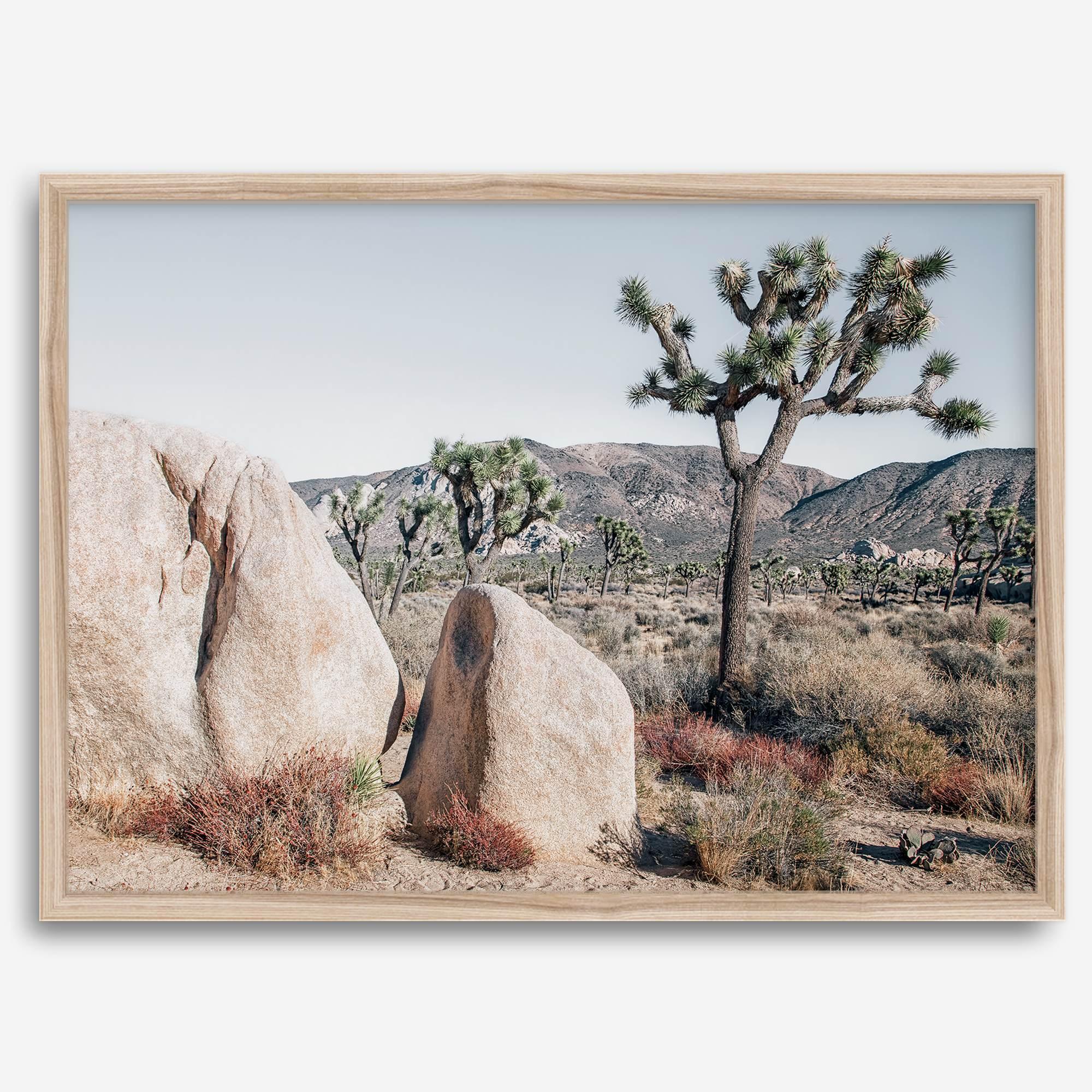 Boho Desert Wall Art featuring a serene Joshua Tree landscape with rugged boulders, golden grasses, and a clear sky, perfect for modern rustic decor.