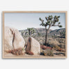 Boho Desert Wall Art featuring a serene Joshua Tree landscape with rugged boulders, golden grasses, and a clear sky, perfect for modern rustic decor.