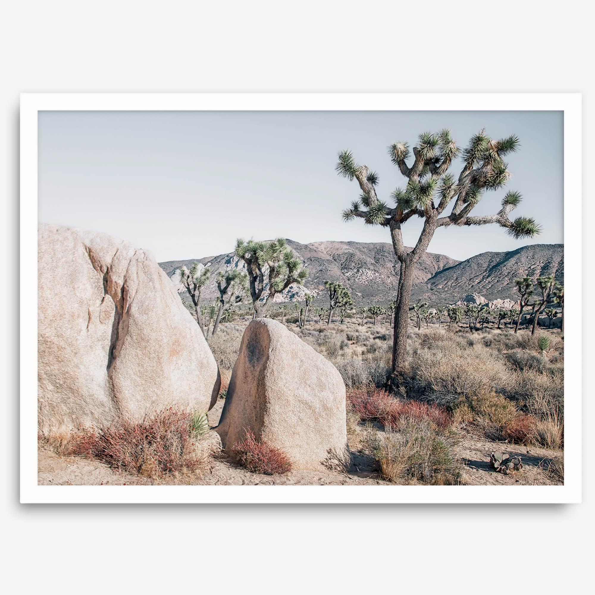 Boho Desert Wall Art featuring a serene Joshua Tree landscape with rugged boulders, golden grasses, and a clear sky, perfect for modern rustic decor.