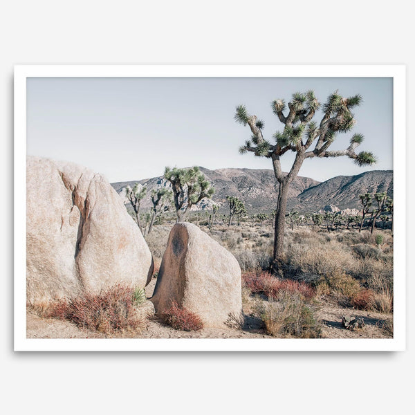 Boho Desert Wall Art featuring a serene Joshua Tree landscape with rugged boulders, golden grasses, and a clear sky, perfect for modern rustic decor.