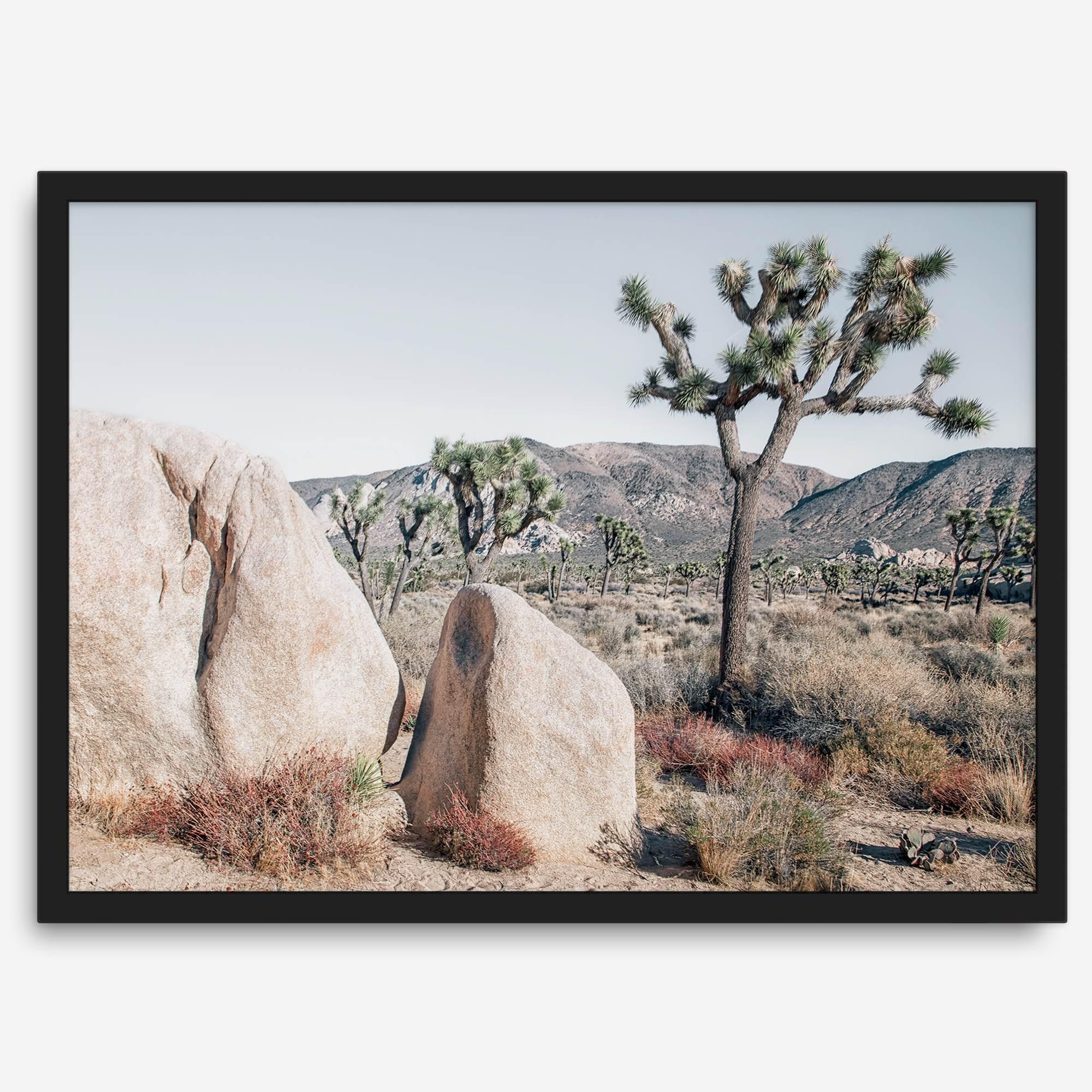 Boho Desert Wall Art featuring a serene Joshua Tree landscape with rugged boulders, golden grasses, and a clear sky, perfect for modern rustic decor.