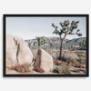 Boho Desert Wall Art featuring a serene Joshua Tree landscape with rugged boulders, golden grasses, and a clear sky, perfect for modern rustic decor.
