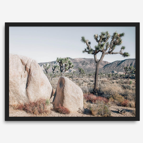 Boho Desert Wall Art featuring a serene Joshua Tree landscape with rugged boulders, golden grasses, and a clear sky, perfect for modern rustic decor.
