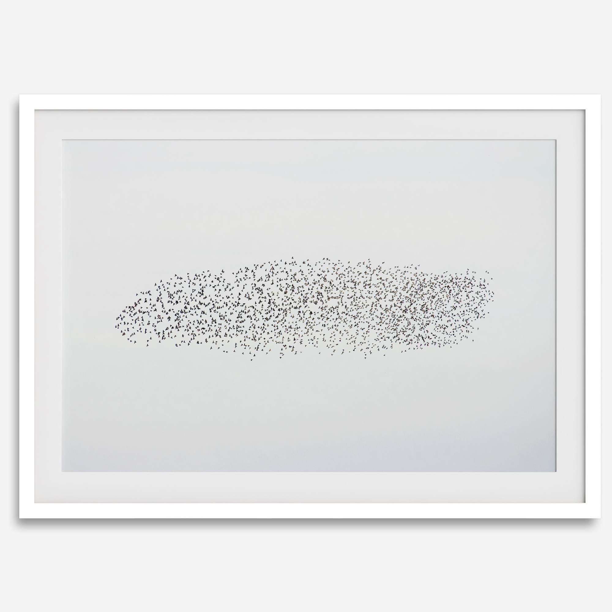 An abstract nature photography landscape photography print featuring a murmuration of starlings in an abstract formation against the sky, capturing minimalist beauty.