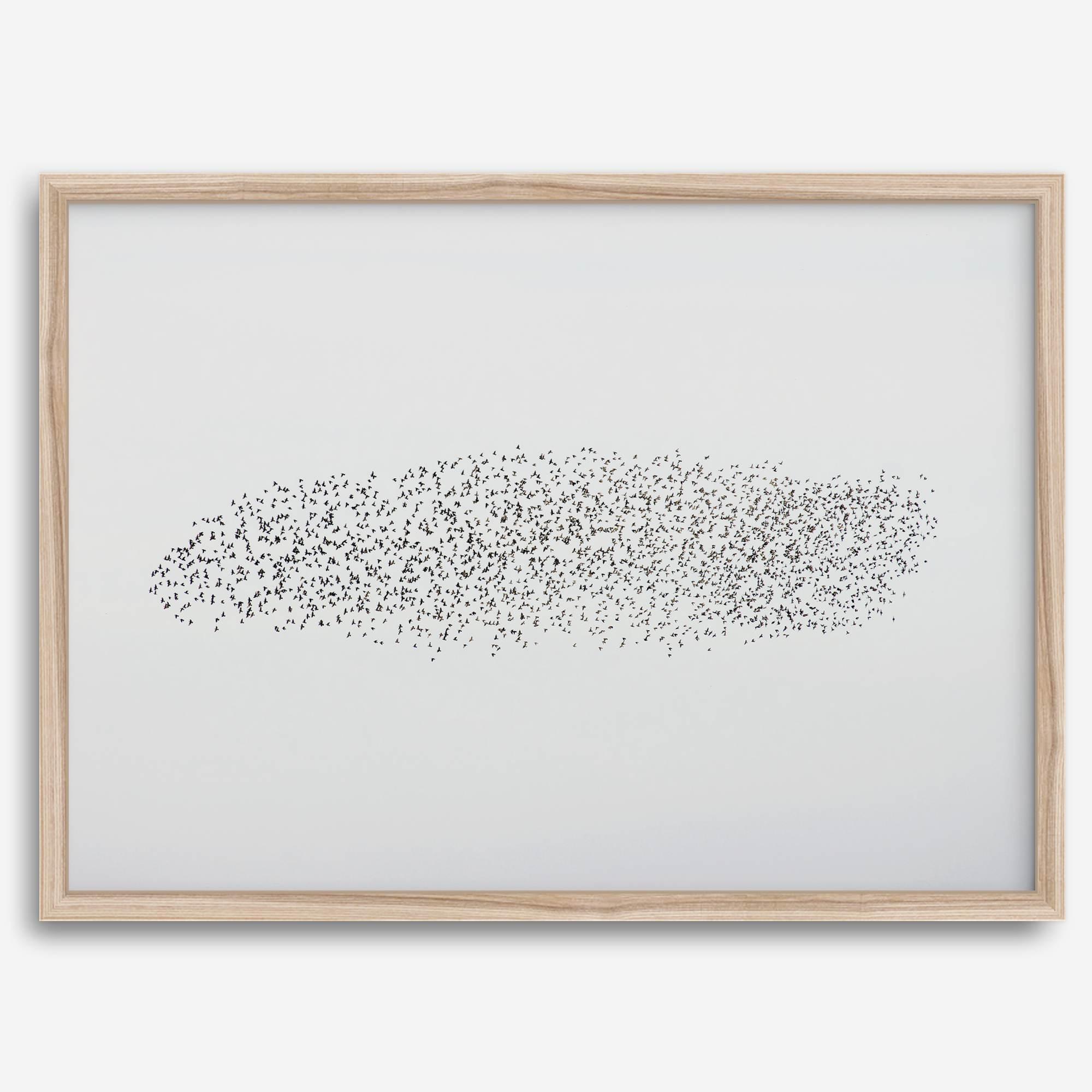 An abstract nature photography landscape photography print featuring a murmuration of starlings in an abstract formation against the sky, capturing minimalist beauty.