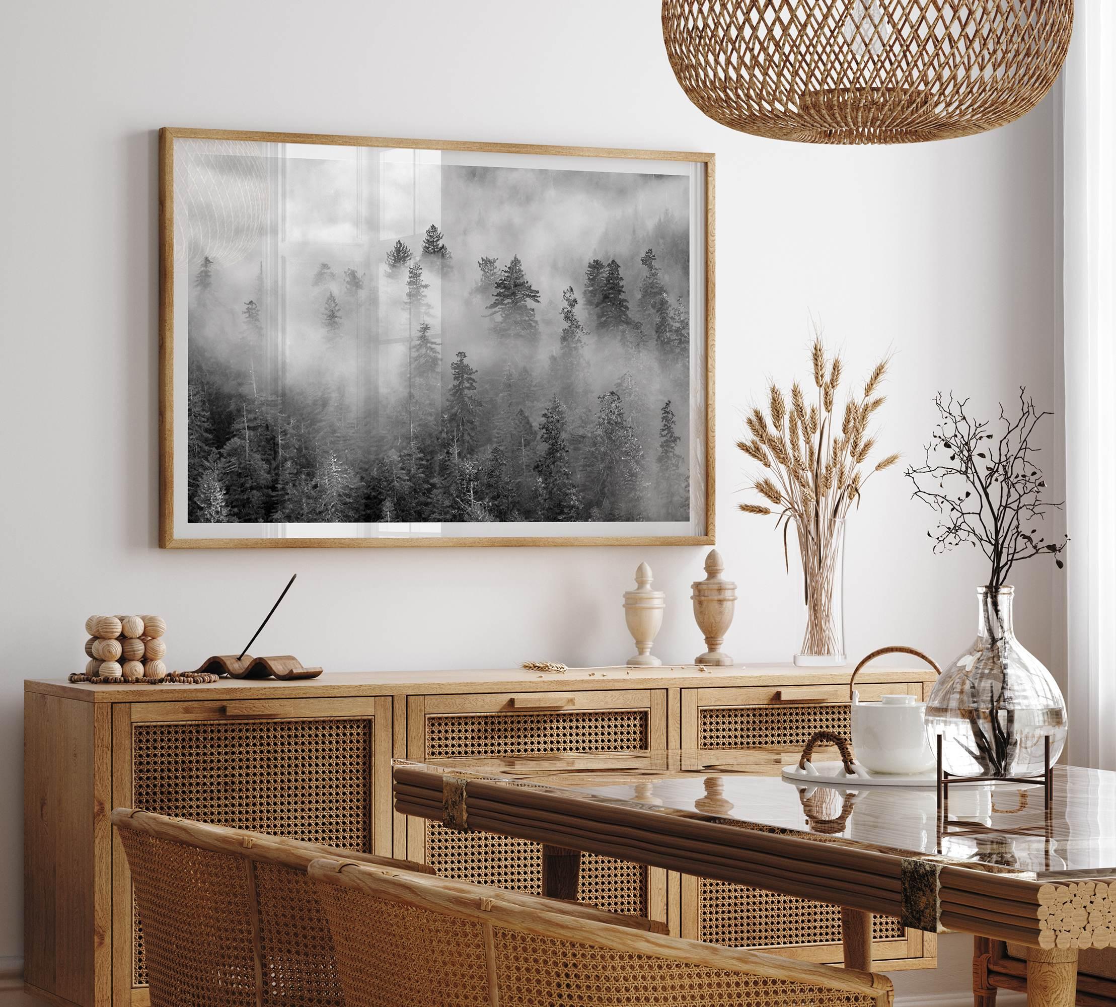 Monochrome foggy forest scene with tall pine trees fading into mist.