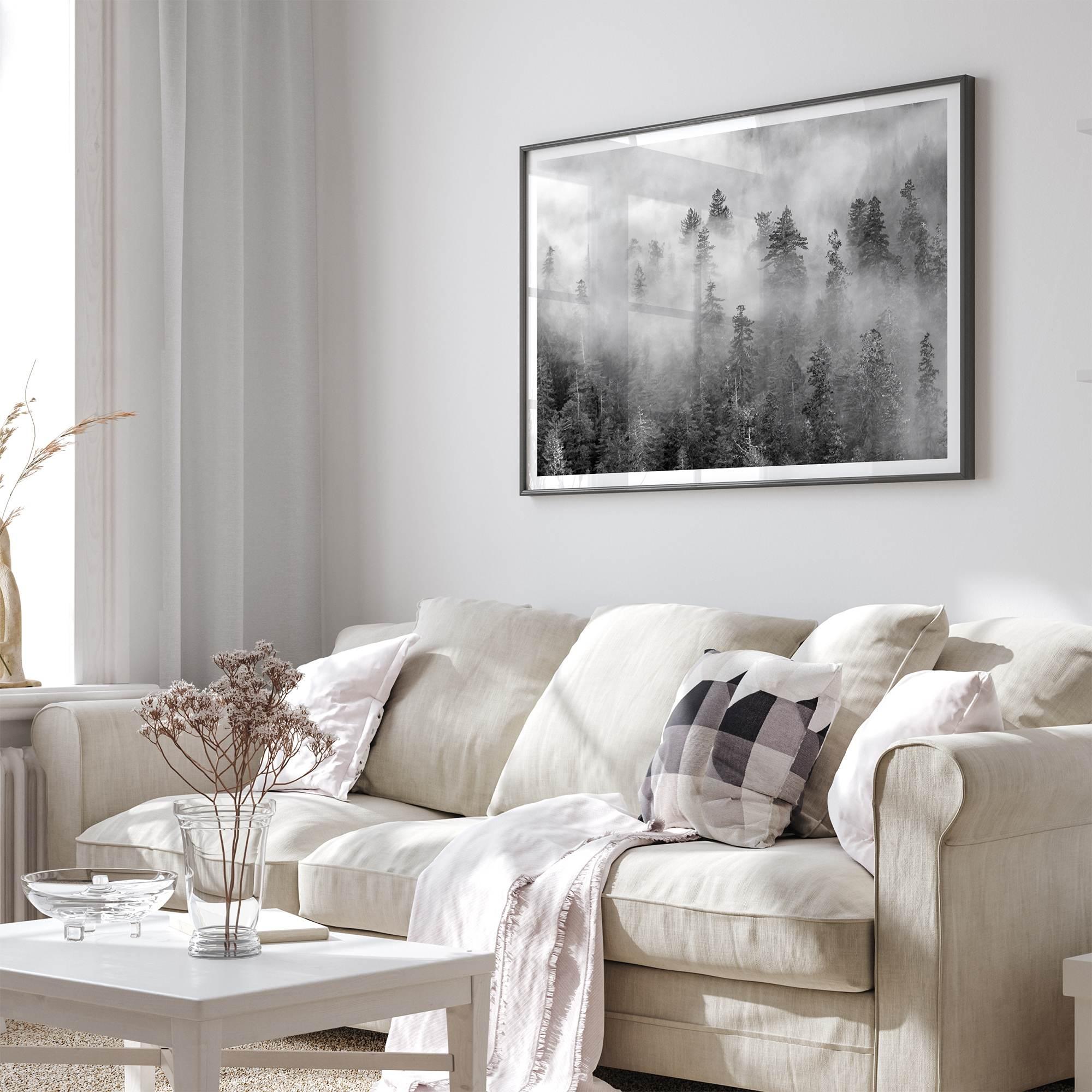 Monochrome foggy forest scene with tall pine trees fading into mist.