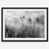 Monochrome foggy forest scene with tall pine trees fading into mist.
