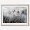 Monochrome foggy forest scene with tall pine trees fading into mist.
