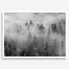 Monochrome foggy forest scene with tall pine trees fading into mist.