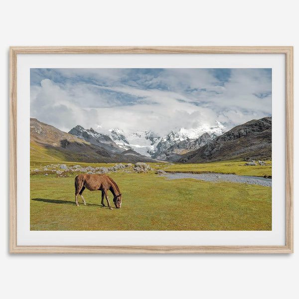 This stunning piece of mountain Horse wall art was taken in Peru and showcases beautiful snow-covered mountains and grassy meadows in Peru and a charming horse grazing relaxingly in the forefront of the picture.
