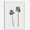 Minimalist fine art beach photography print of two tall palm trees against a white sky. Coastal decor.