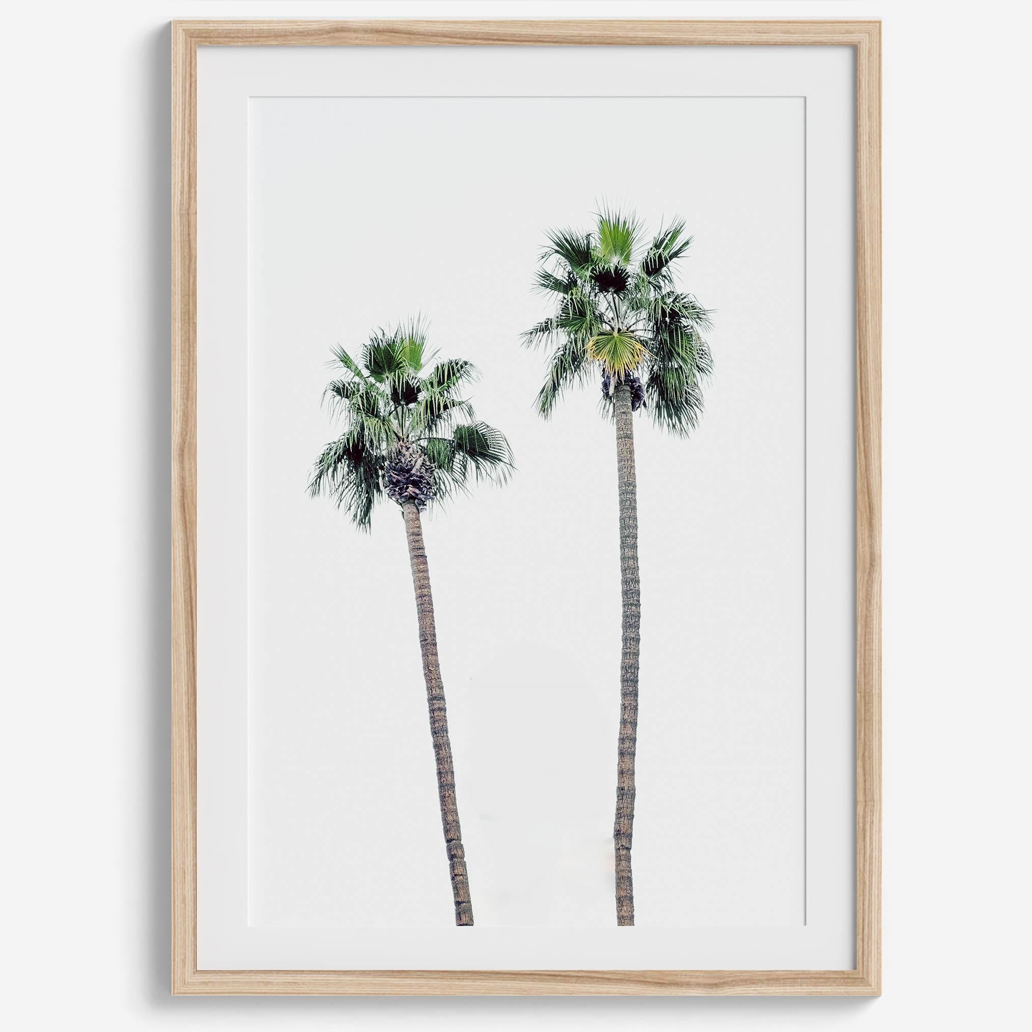 Minimalist fine art beach photography print of two tall palm trees against a white sky. Coastal decor.