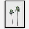 Minimalist fine art beach photography print of two tall palm trees against a white sky. Coastal decor.