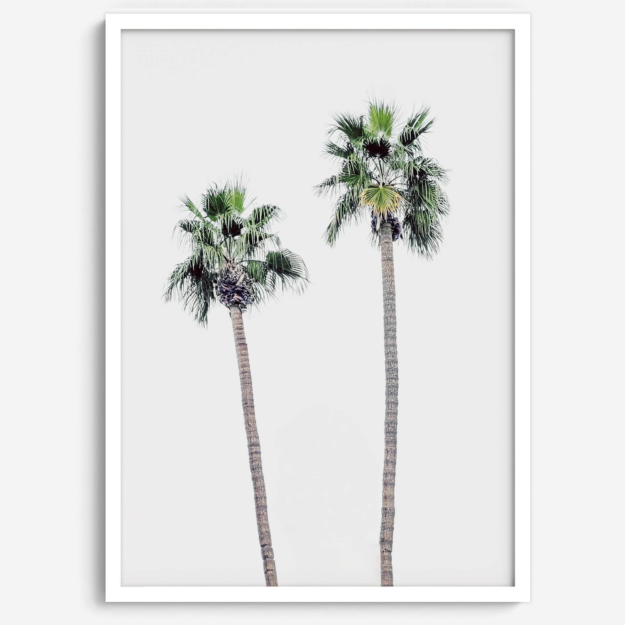 Minimalist fine art beach photography print of two tall palm trees against a white sky. Coastal decor.