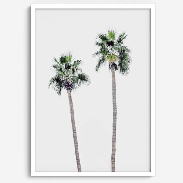 Minimalist fine art beach photography print of two tall palm trees against a white sky. Coastal decor.