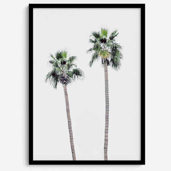 Minimalist fine art beach photography print of two tall palm trees against a white sky. Coastal decor.