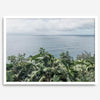 Tropical ocean view with lush green foliage overlooking the Pacific from Kauai, captured in fine art photography.