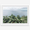 Tropical ocean view with lush green foliage overlooking the Pacific from Kauai, captured in fine art photography.