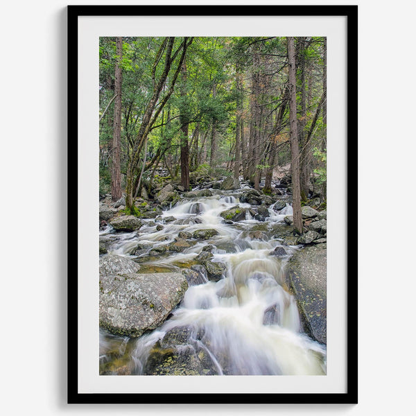 A beautiful river cuts through the forest, shot in long exposure making the water look creamy and calm in this fine art Yosemite National Park print.