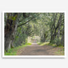 A fine art framed or unframed print of a tree tunnel path through the forest. this inspiring forest wall art with transport you straight into the heart of nature.