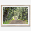 A fine art framed or unframed print of a tree tunnel path through the forest. this inspiring forest wall art with transport you straight into the heart of nature.