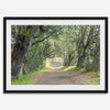 A fine art framed or unframed print of a tree tunnel path through the forest. this inspiring forest wall art with transport you straight into the heart of nature.