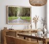 Fine art photography print of a winding road through a eucalyptus forest on the Big Island of Hawaii.
