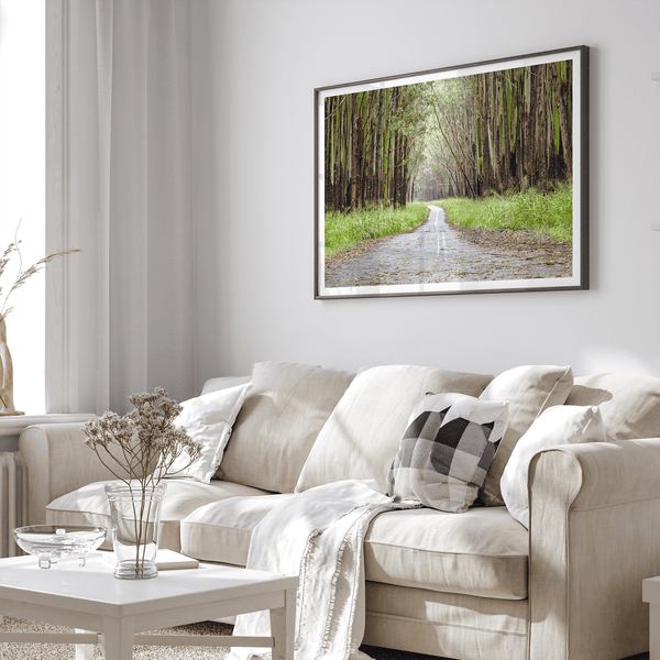Fine art photography print of a winding road through a eucalyptus forest on the Big Island of Hawaii.