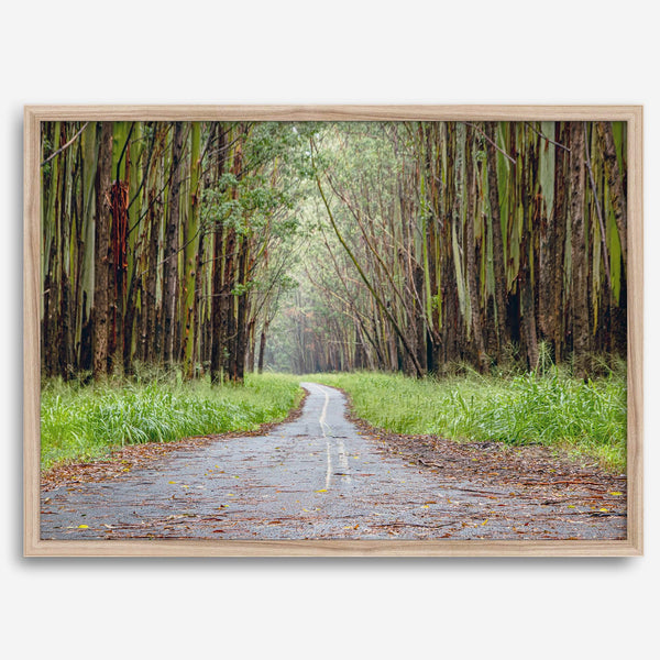 Fine art photography print of a winding road through a eucalyptus forest on the Big Island of Hawaii.