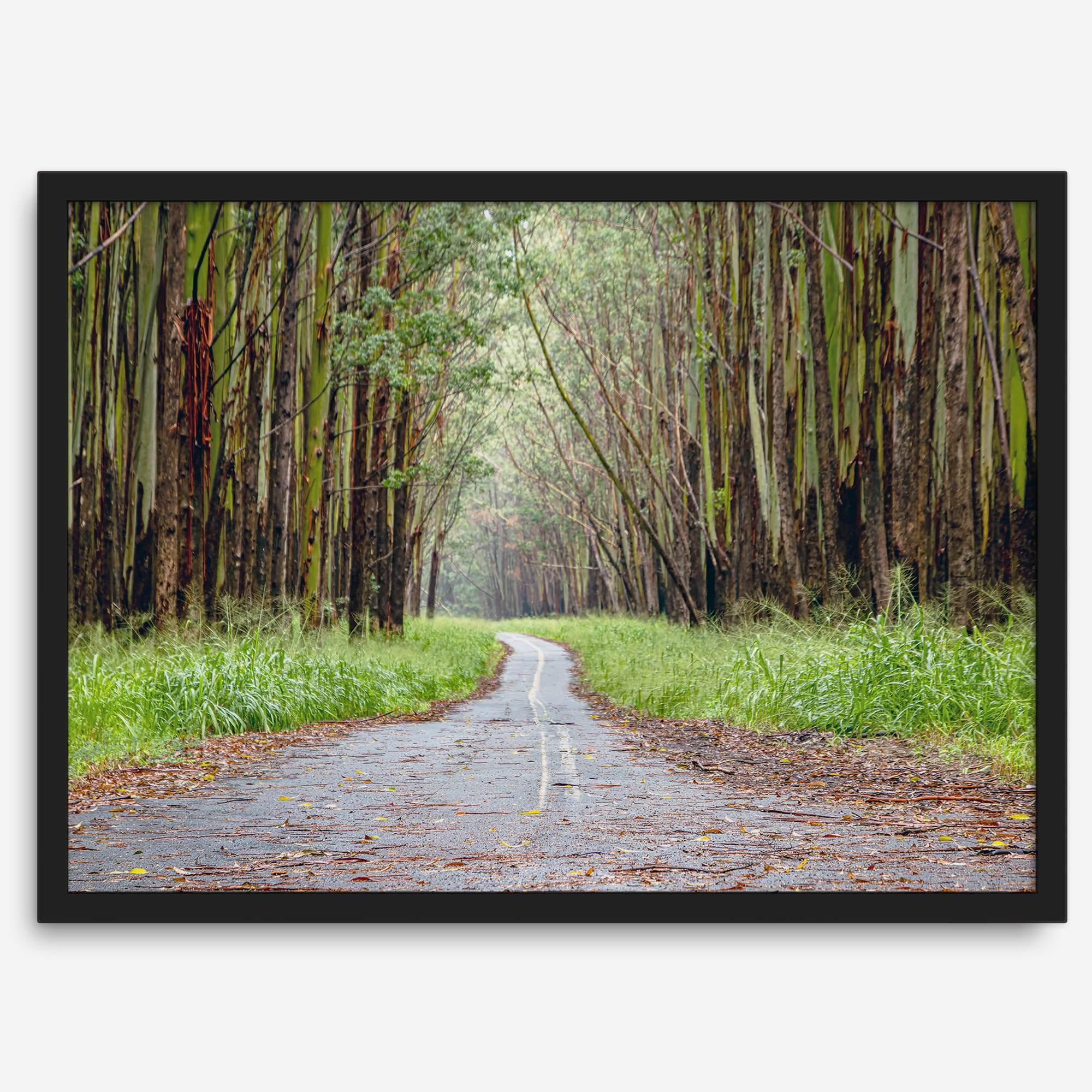 Fine art photography print of a winding road through a eucalyptus forest on the Big Island of Hawaii.