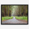 Fine art photography print of a winding road through a eucalyptus forest on the Big Island of Hawaii.