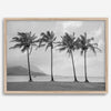 Black and white Hanalei Beach wall art featuring four palm trees with a coastal Kauai backdrop.