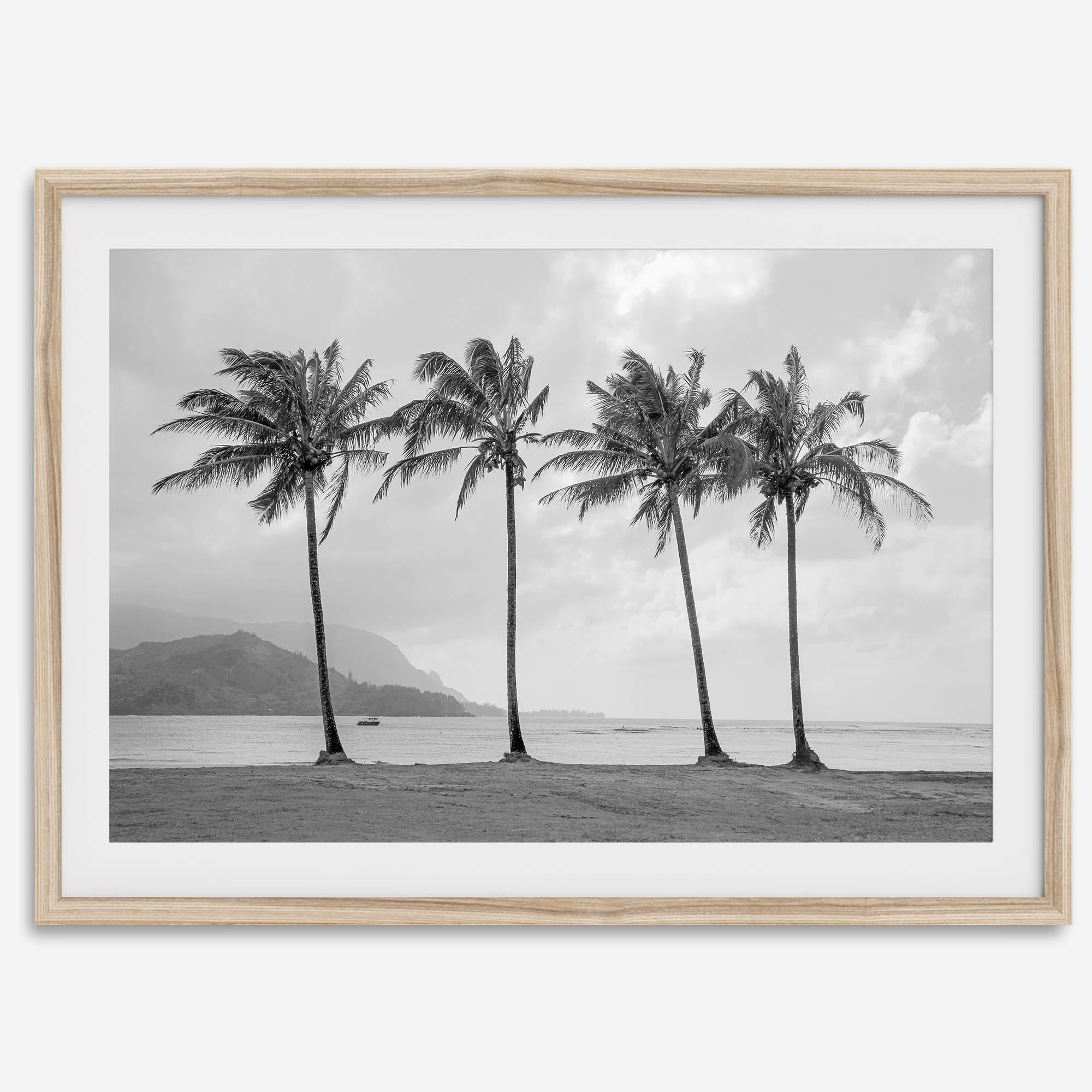 Black and white Hanalei Beach wall art featuring four palm trees with a coastal Kauai backdrop.
