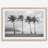 Black and white Hanalei Beach wall art featuring four palm trees with a coastal Kauai backdrop.
