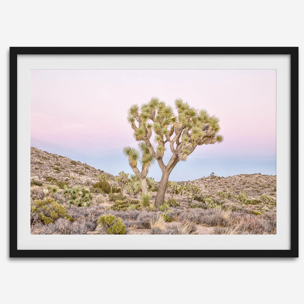 Fine art print of Joshua Tree landscape at pink and blue dusk
