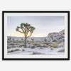 A fine art California desert print showcasing a lone Joshua Tree in the sunset with desert plantation and rocks.