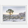A fine art California desert print showcasing a lone Joshua Tree in the sunset with desert plantation and rocks.