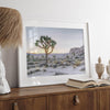 A fine art California desert print showcasing a lone Joshua Tree in the sunset with desert plantation and rocks.