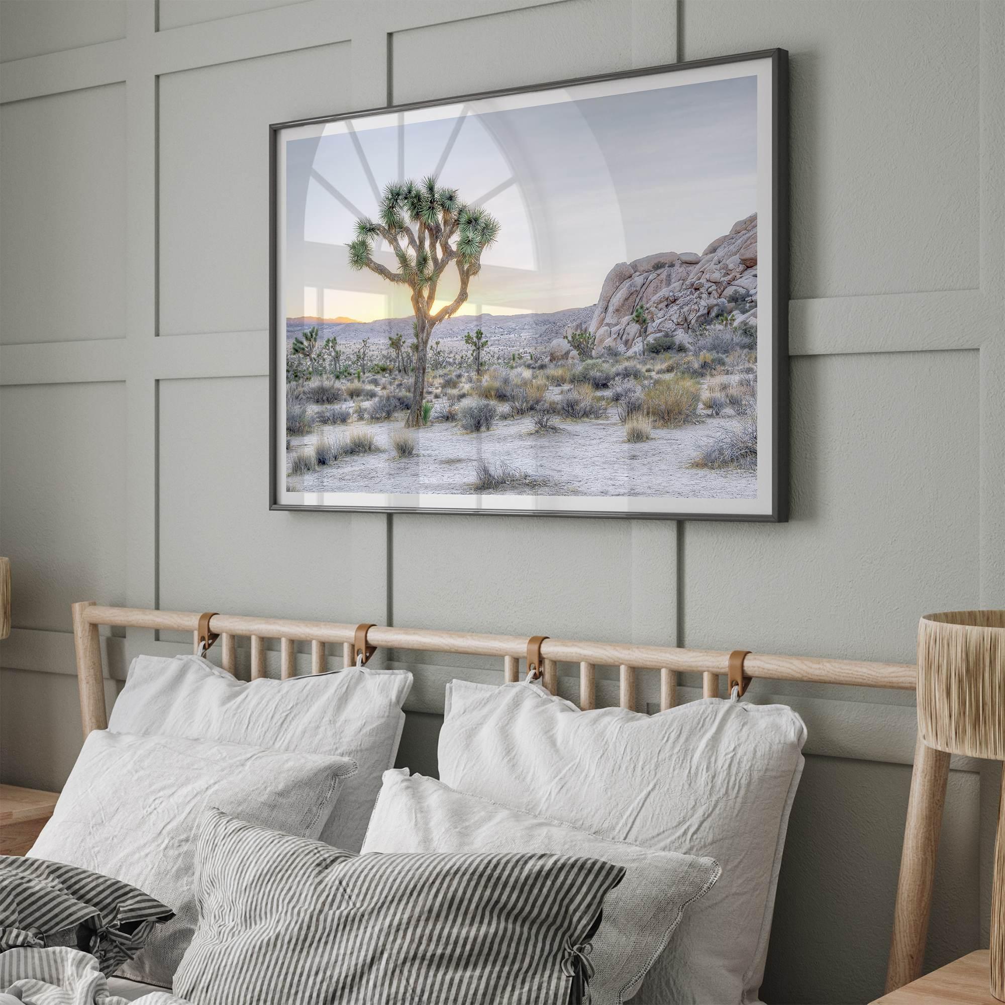A fine art California desert print showcasing a lone Joshua Tree in the sunset with desert plantation and rocks.