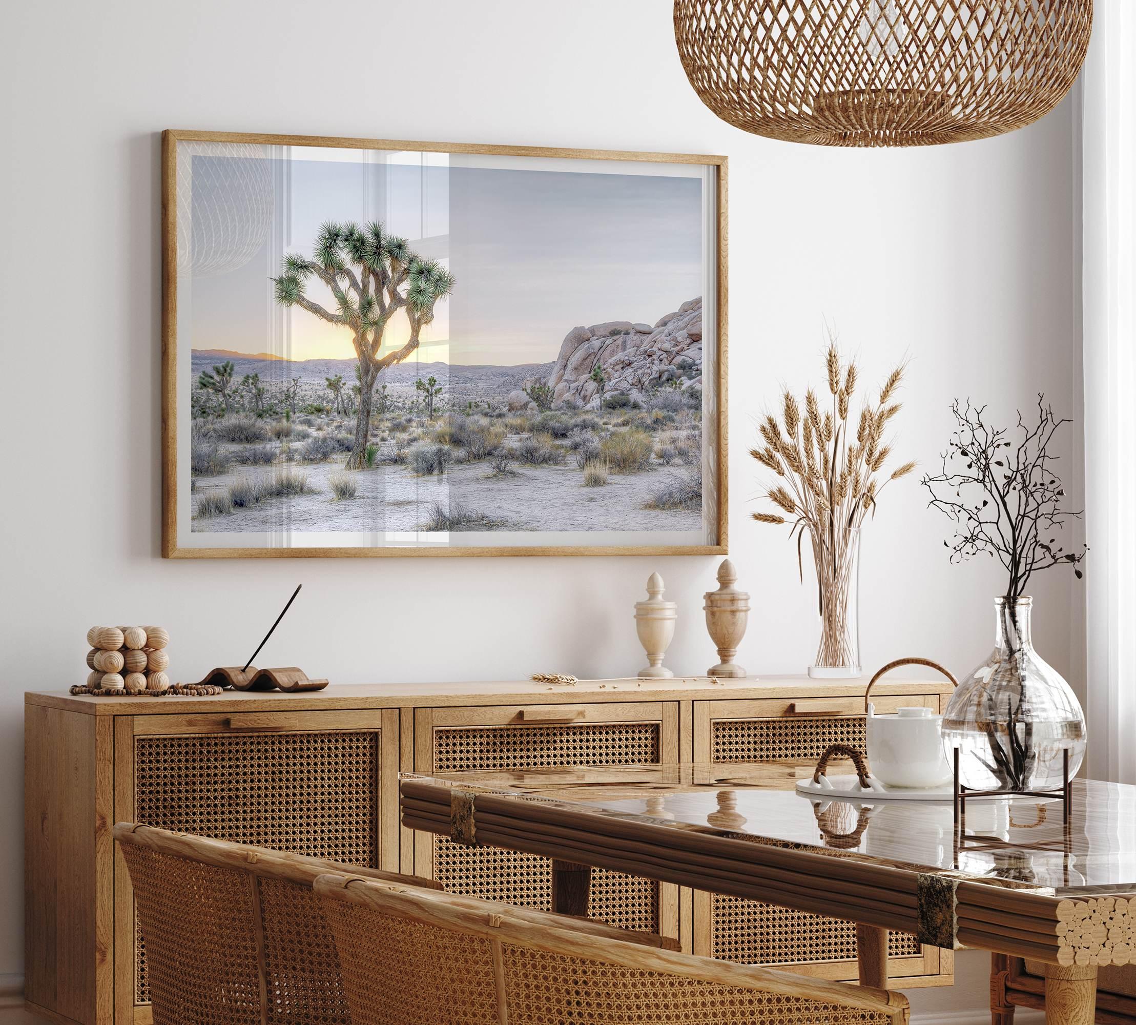 A fine art California desert print showcasing a lone Joshua Tree in the sunset with desert plantation and rocks.