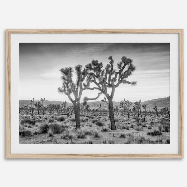 A framed or unframed fine art photography desert print of a horse in Monument Valley, Utah. This wall art features unique rock formations native to the Monument Valley area. This horse wall art comes in different sizes, including extra large.