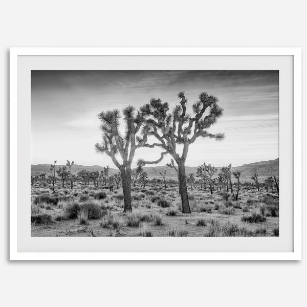 A framed or unframed fine art photography desert print of a horse in Monument Valley, Utah. This wall art features unique rock formations native to the Monument Valley area. This horse wall art comes in different sizes, including extra large.