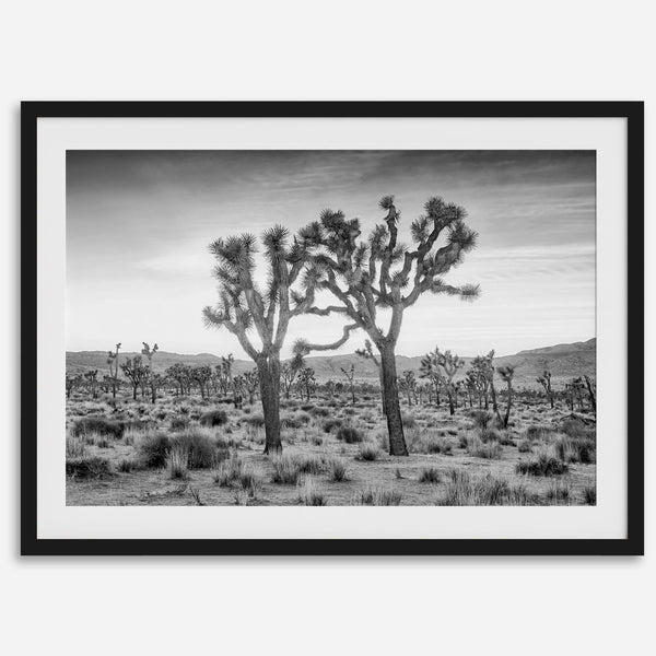 A framed or unframed fine art photography desert print of a horse in Monument Valley, Utah. This wall art features unique rock formations native to the Monument Valley area. This horse wall art comes in different sizes, including extra large.