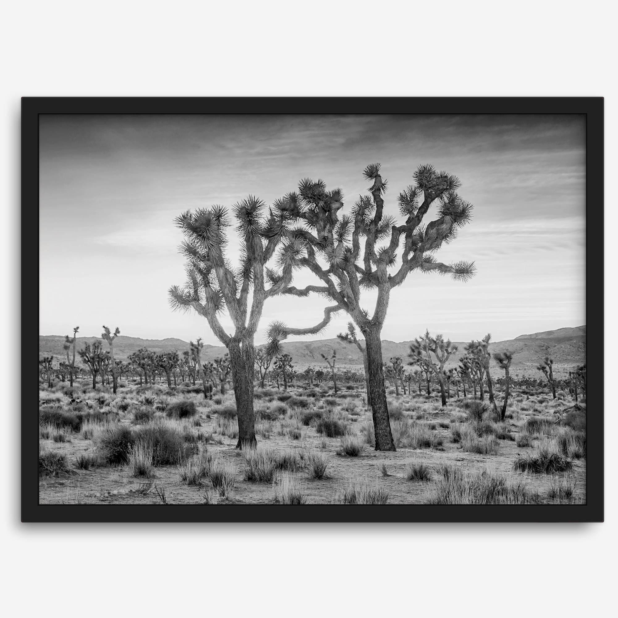 A framed or unframed fine art photography desert print of a horse in Monument Valley, Utah. This wall art features unique rock formations native to the Monument Valley area. This horse wall art comes in different sizes, including extra large.